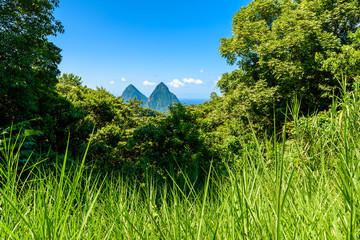 Gros and Petit Pitons near village Soufriere on Caribbean island St Lucia - tropical and paradise...