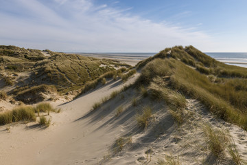 Les dunes du Marquenterre à Fort-Mahon.
