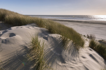 Les dunes du Marquenterre à Fort-Mahon.
