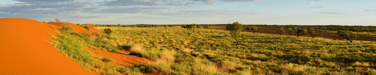 panorama of Simpson Desert dunes,