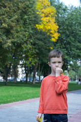 осенняя прогулка  с родителями в в парке осенью