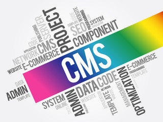 CMS Content Management System word cloud, business concept