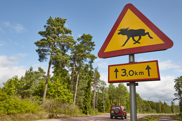 Elk moose traffic road signal on a finnish landscape.
