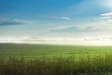 Late summer foggy morning at the green field. Blue sky with white small clouds