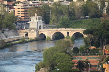 Naklejka premium Milvio bridge in Rome, Italy
