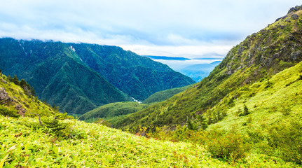 Obraz premium 山並み