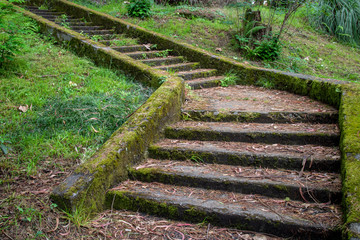 vintage green stage to the mountain