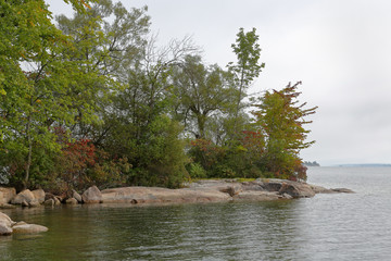Trees rocks on the shore of a bay