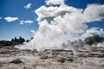 Thermal area in Rotorua