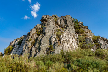 Emerging rock over bush