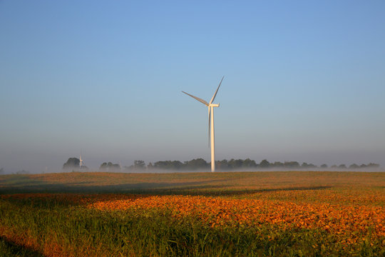 Wind turbines in the mist at dawn