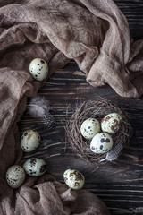 Spotted quail eggs and feathers in a nest on a dark wooden background. Rustic style, top view