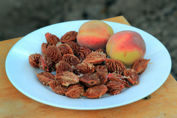 Peaches and peach kernels on the plate