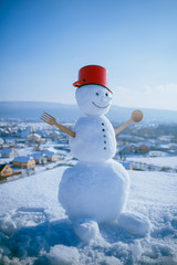 Obraz premium Christmas or xmas decoration.