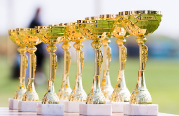 Beautiful champion golden trophy cups for winners in soccer competition