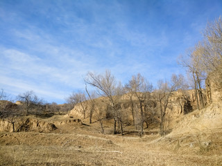 The Plateau Winter Scene