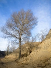 The Plateau Winter Scene