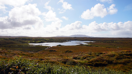 Bog 3