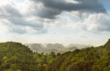 Fototapeta na wymiar rain forest in Thailand