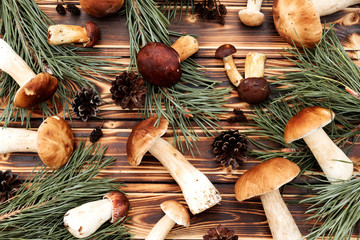 Fresh boletus mushrooms on wooden table. Autumn rustic background of mushrooms, cones, fir branches.