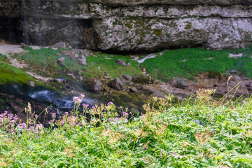 Dreamy waterfall and small emerald pond. Karst water. Fontanon of Goriuda. Friuli