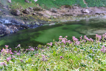 Obraz na płótnie Canvas Dreamy waterfall and small emerald pond. Karst water. Fontanon of Goriuda. Friuli