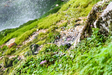 Dreamy waterfall and small emerald pond. Karst water. Fontanon of Goriuda. Friuli