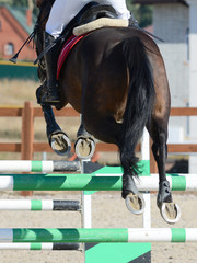  Brown sport horse jumping through hurdle. Horse show jumping in details.