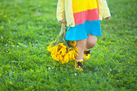 Little child with bouquet of beautiful sunflowers, closeup.