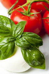 mozarella, basil and tomatoes