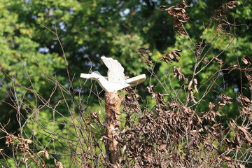 Wooden bird of happiness on the rite of fire - Slavic symbols