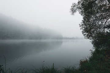 See mit Nebel im Herbst im Bayerischen Wald