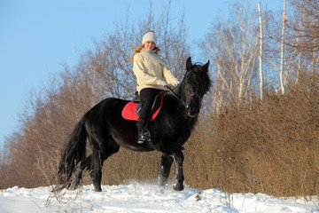 Pretty blonde woman riding her black horse through birch woods at the edge of a snowy 