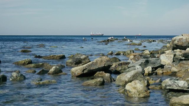 Calm sea stony shore on the rocks of seagulls and ships at sea in the roadstead