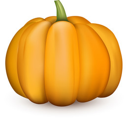 Orange halloween 3d pumpkin on white.