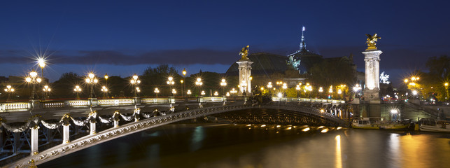 Fototapeta na wymiar Le pont Alexandre III , Paris