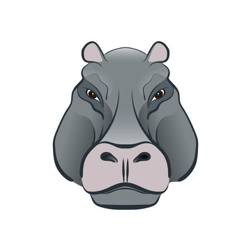 Hippopotamus in cartoon style