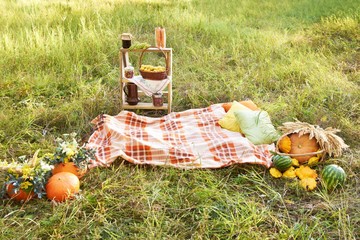 Picnic. Basket vegetables. Glade. Autumn