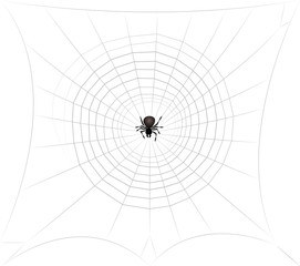 Spider in spiders web lurking for prey. Isolated vector comic illustration on white background.