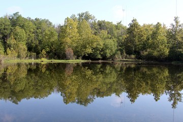 Fototapeta na wymiar The reflection of the trees on the lake water.