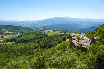 Mountain green valley stream landscape