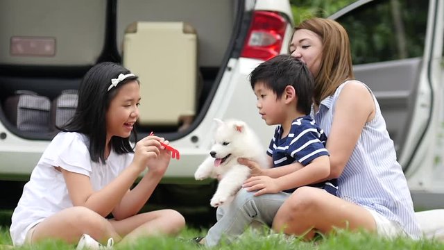Asian family playing with siberian husky puppy in the park,slow motion 