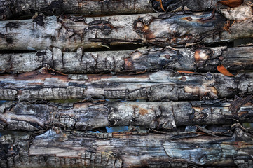 wood background