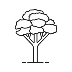 Maple tree linear icon