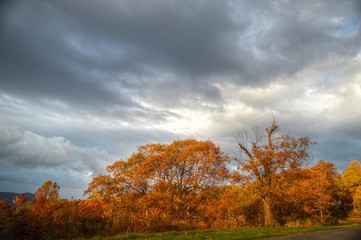 Fototapeta premium Virginia USA