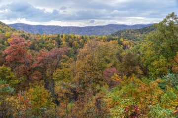 Fototapeta premium Virginia USA