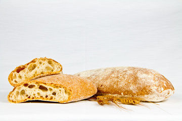 Italian typical bread