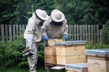 Beekeeper at work on his apiary with smoker next to the beehive