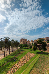 Fototapeta premium Palma of Majorca mediterranean gardens and Cathedral, Parc de la Mar