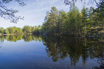 Fototapeta na wymiar Small forest lake in Karelia, Russia.